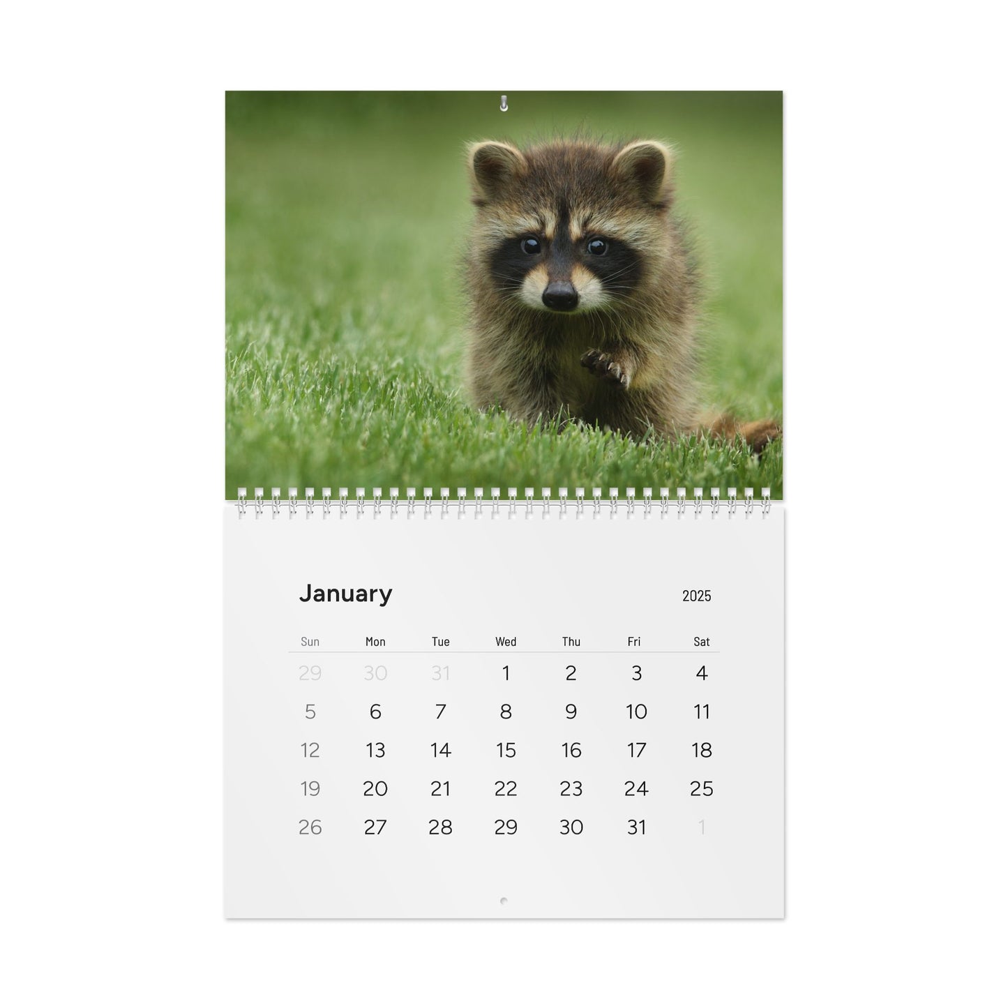 Wall Calendar, Cute Baby Animal Calendar, 2025 Calendar, Kid's Room Decor, Nursery Wall Art, Animal Lover Gift