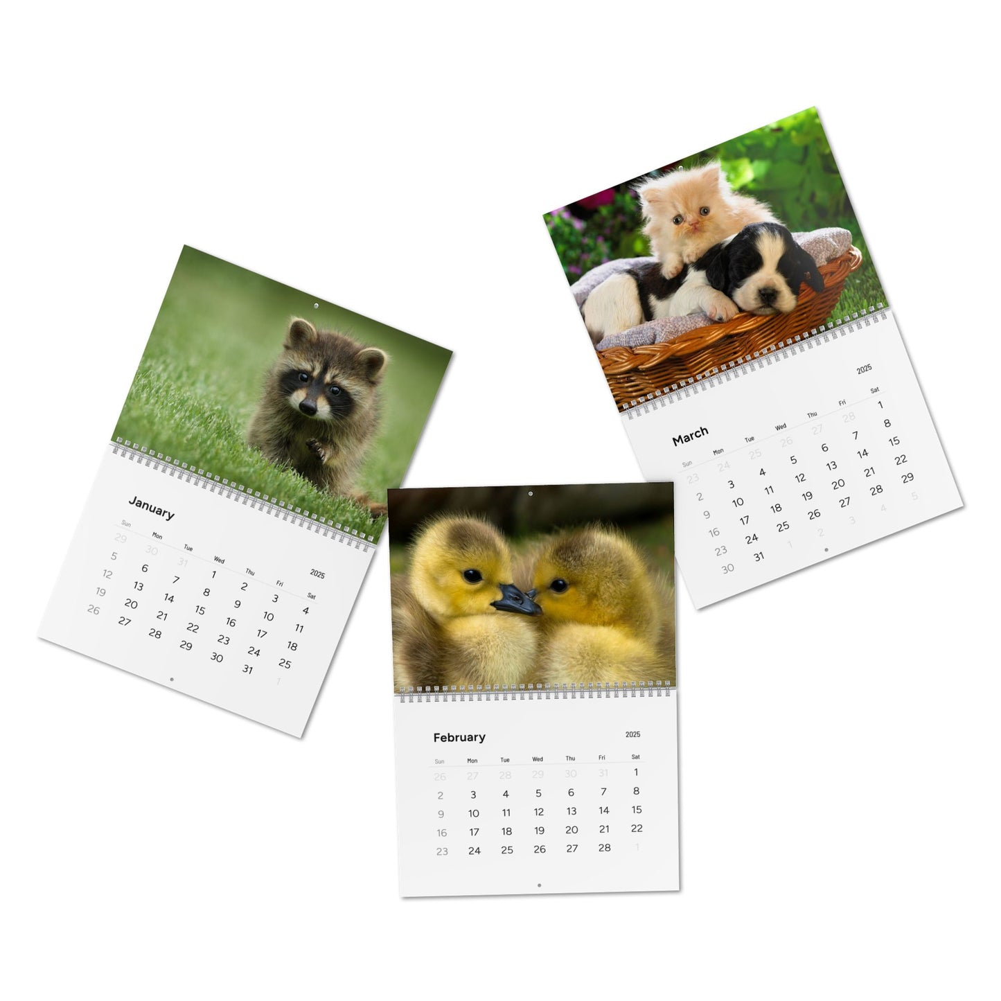 Wall Calendar, Cute Baby Animal Calendar, 2025 Calendar, Kid's Room Decor, Nursery Wall Art, Animal Lover Gift