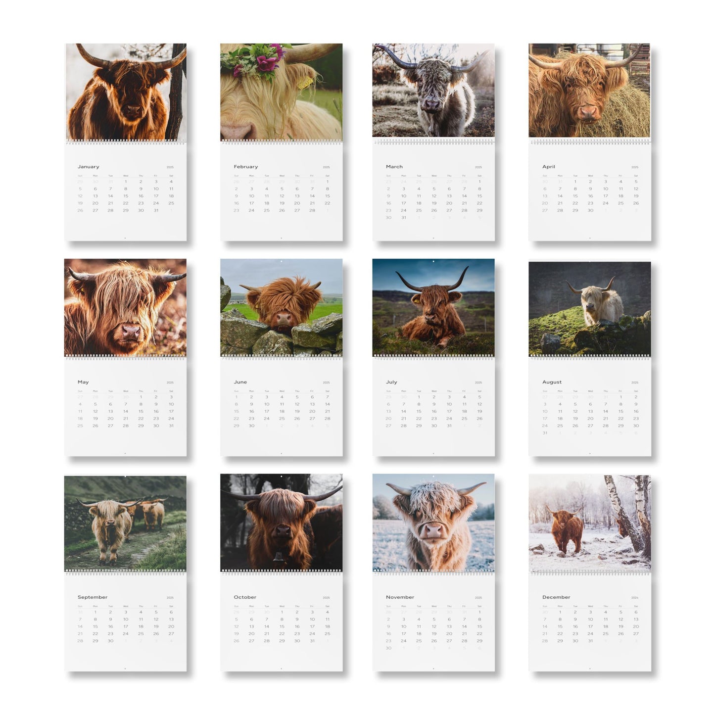 2025 Highland Cow Calendar - Beautiful Scottish Highland Cattle Photos for Your Home or Office