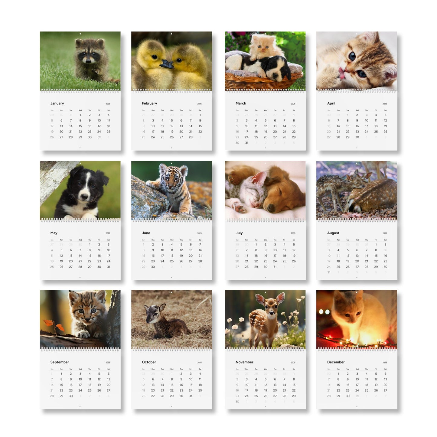 Wall Calendar, Cute Baby Animal Calendar, 2025 Calendar, Kid's Room Decor, Nursery Wall Art, Animal Lover Gift