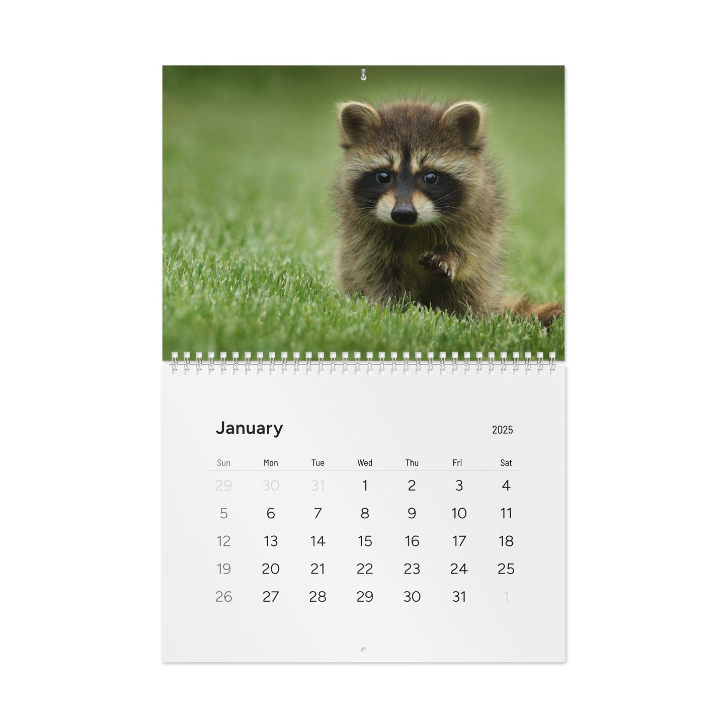 Wall Calendar, Cute Baby Animal Calendar, 2025 Calendar, Kid's Room Decor, Nursery Wall Art, Animal Lover Gift