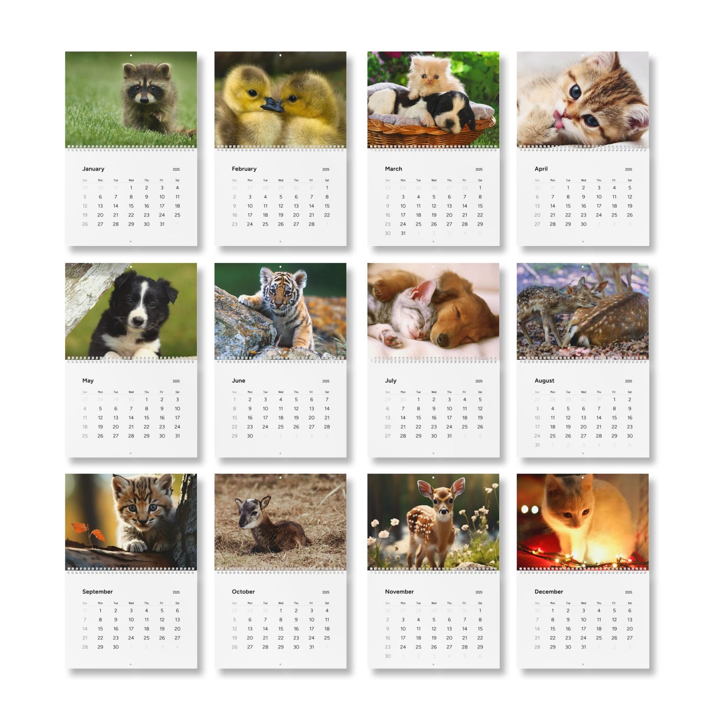 Wall Calendar, Cute Baby Animal Calendar, 2025 Calendar, Kid's Room Decor, Nursery Wall Art, Animal Lover Gift